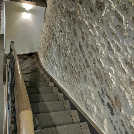 Hotel Viii